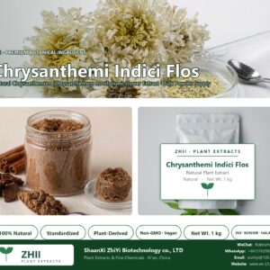 Chrysanthemi Indici Flos natural Chrysanthemum extract powder - ZHII ShaanXi ZhiYi Biotechnology supplier