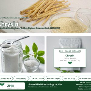 Chrysin CAS 480-40-0 natural plant extract from Sophora / Ku Shen - ZHII ShaanXi ZhiYi Biotechnology supplier