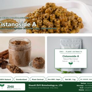 Cistanoside A natural botanical extract powder - ZHII ShaanXi ZhiYi Biotechnology supplier