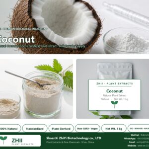 Coconut powder natural Coconut extract powder - ZHII ShaanXi ZhiYi Biotechnology supplier
