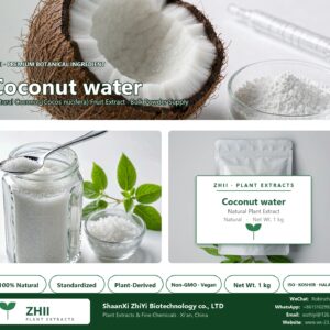 Coconut water powder natural Coconut extract powder - ZHII ShaanXi ZhiYi Biotechnology supplier
