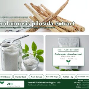 Codonopsis pilosula extract natural botanical extract powder - ZHII ShaanXi ZhiYi Biotechnology supplier