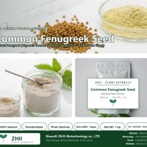 Common Fenugreek Seed natural Fenugreek extract powder - ZHII ShaanXi ZhiYi Biotechnology supplier