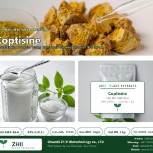 Coptisine CAS 3486-66-6 natural plant extract from Coptis / Huang Lian - ZHII ShaanXi ZhiYi Biotechnology supplier