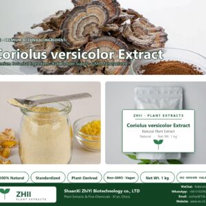 Coriolus versicolor Extract natural botanical extract powder - ZHII ShaanXi ZhiYi Biotechnology supplier