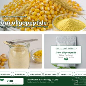 Corn oligopeptide natural Corn extract powder - ZHII ShaanXi ZhiYi Biotechnology supplier