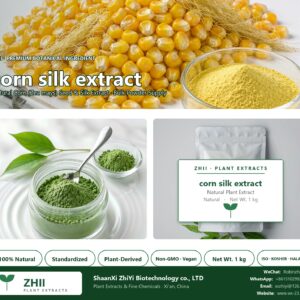corn silk extract natural Corn extract powder - ZHII ShaanXi ZhiYi Biotechnology supplier