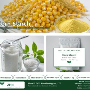Corn Starch natural Corn extract powder - ZHII ShaanXi ZhiYi Biotechnology supplier