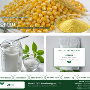 cornin natural Corn extract powder - ZHII ShaanXi ZhiYi Biotechnology supplier