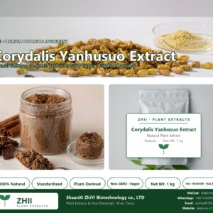 Corydalis Yanhusuo Extract natural Yanhusuo extract powder - ZHII ShaanXi ZhiYi Biotechnology supplier