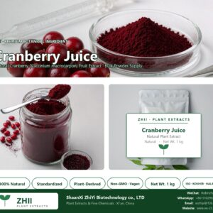 Cranberry Juice Powder natural Cranberry extract powder - ZHII ShaanXi ZhiYi Biotechnology supplier