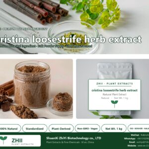 cristina loosestrife herb extract natural botanical extract powder - ZHII ShaanXi ZhiYi Biotechnology supplier