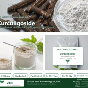 Curculigoside natural botanical extract powder - ZHII ShaanXi ZhiYi Biotechnology supplier