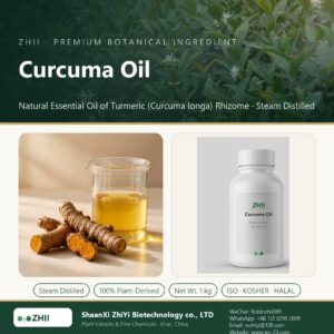 Curcuma Oil liquid extract in laboratory beaker - ZHII Plant Extracts by ShaanXi ZhiYi Biotechnology