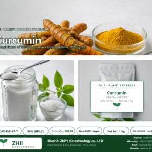 Curcumin CAS 458-37-7 natural plant extract from Turmeric - ZHII ShaanXi ZhiYi Biotechnology supplier