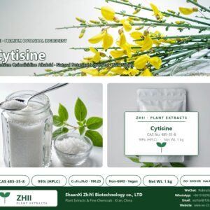 Cytisine CAS 485-35-8 natural plant extract from botanical - ZHII ShaanXi ZhiYi Biotechnology supplier
