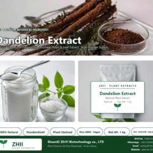 Dandelion Extract / dandelion root extract natural Dandelion extract powder - ZHII ShaanXi ZhiYi Biotechnology supplier