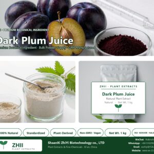 Dark Plum Juice Powder natural botanical extract powder - ZHII ShaanXi ZhiYi Biotechnology supplier