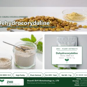 Dehydrocorydaline CAS 30045-16-0 natural plant extract from Yanhusuo - ZHII ShaanXi ZhiYi Biotechnology supplier