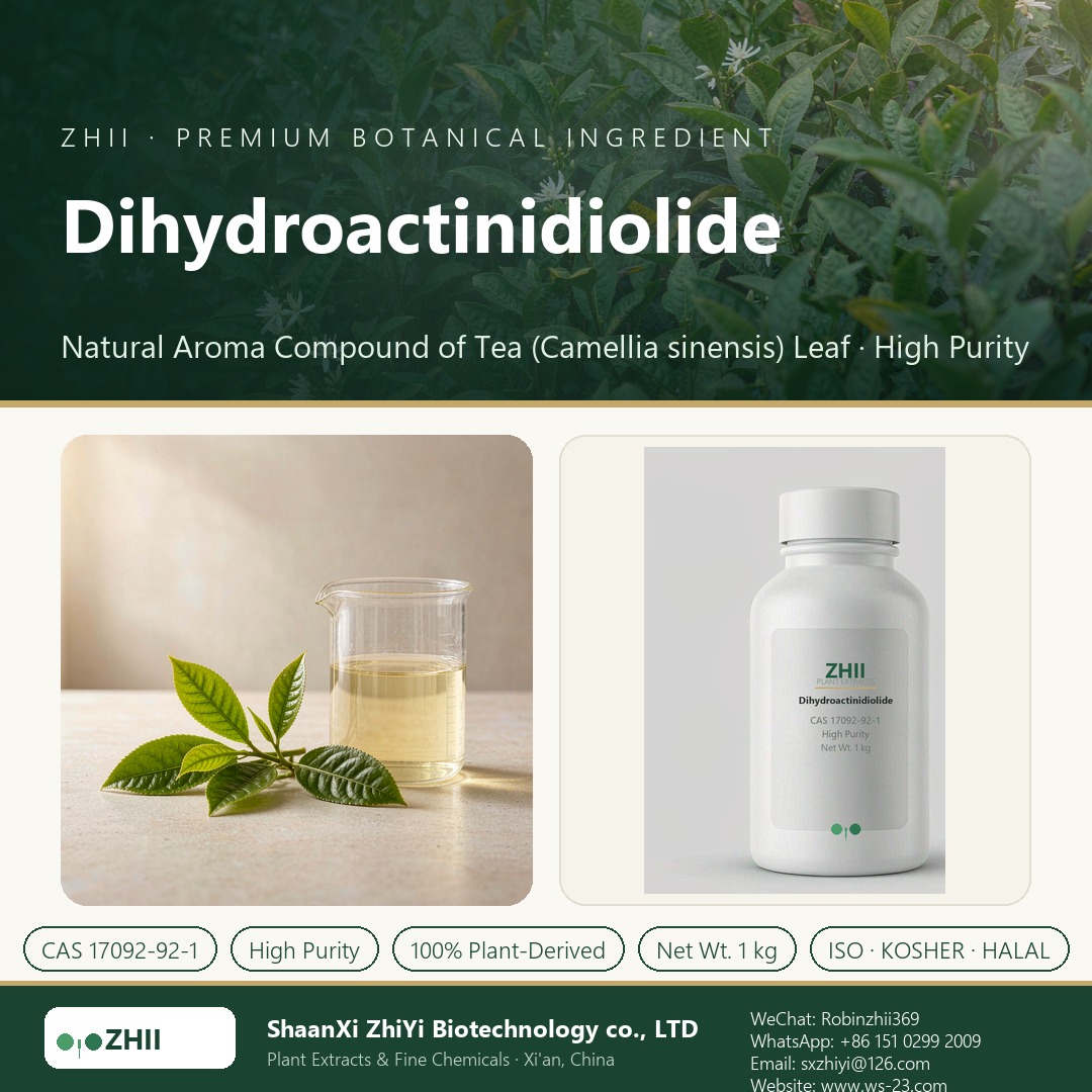 Dihydroactinidiolide liquid extract in laboratory beaker - ZHII Plant Extracts by ShaanXi ZhiYi Biotechnology