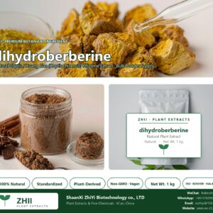 dihydroberberine natural Coptis / Huang Lian extract powder - ZHII ShaanXi ZhiYi Biotechnology supplier