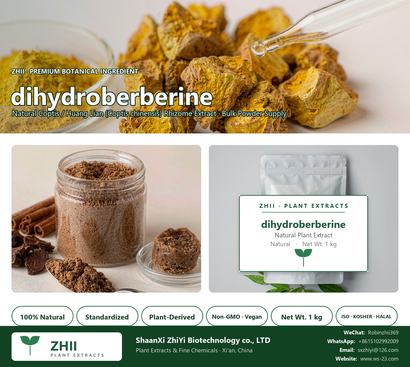 dihydroberberine natural Coptis / Huang Lian extract powder - ZHII ShaanXi ZhiYi Biotechnology supplier