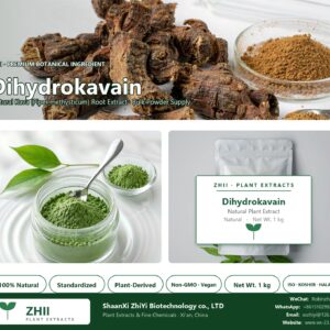 Dihydrokavain natural Kava extract powder - ZHII ShaanXi ZhiYi Biotechnology supplier