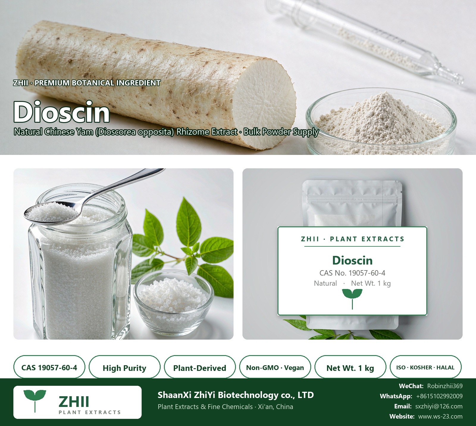 Dioscin CAS 19057-60-4 natural plant extract from Chinese Yam - ZHII ShaanXi ZhiYi Biotechnology supplier