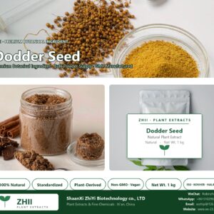 Dodder Seed natural botanical extract powder - ZHII ShaanXi ZhiYi Biotechnology supplier