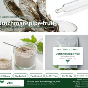 Dutchmanspipe fruit natural botanical extract powder - ZHII ShaanXi ZhiYi Biotechnology supplier