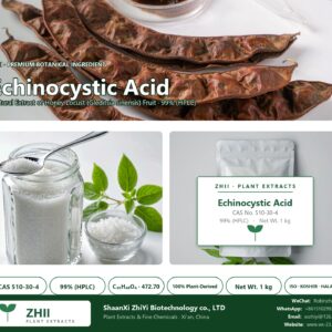 Echinocystic Acid CAS 510-30-4 natural plant extract from botanical source - ZHII ShaanXi ZhiYi Biotechnology supplier