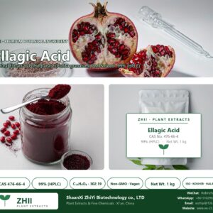 Ellagic Acid CAS 476-66-4 natural plant extract from Pomegranate - ZHII ShaanXi ZhiYi Biotechnology supplier