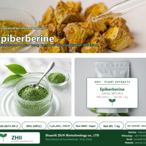 Epiberberine CAS 6873-09-2 natural plant extract from Coptis / Huang Lian - ZHII ShaanXi ZhiYi Biotechnology supplier