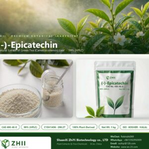 (-)-Epicatechin CAS 490-46-0 natural plant extract from botanical source - ZHII ShaanXi ZhiYi Biotechnology supplier