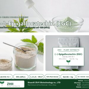(-)-Epigallocatechin (EGC) CAS 970-74-1 natural plant extract from botanical source - ZHII ShaanXi ZhiYi Biotechnology supplier