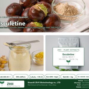 Esculetine CAS 305-01-1 natural plant extract from Horse Chestnut - ZHII ShaanXi ZhiYi Biotechnology supplier