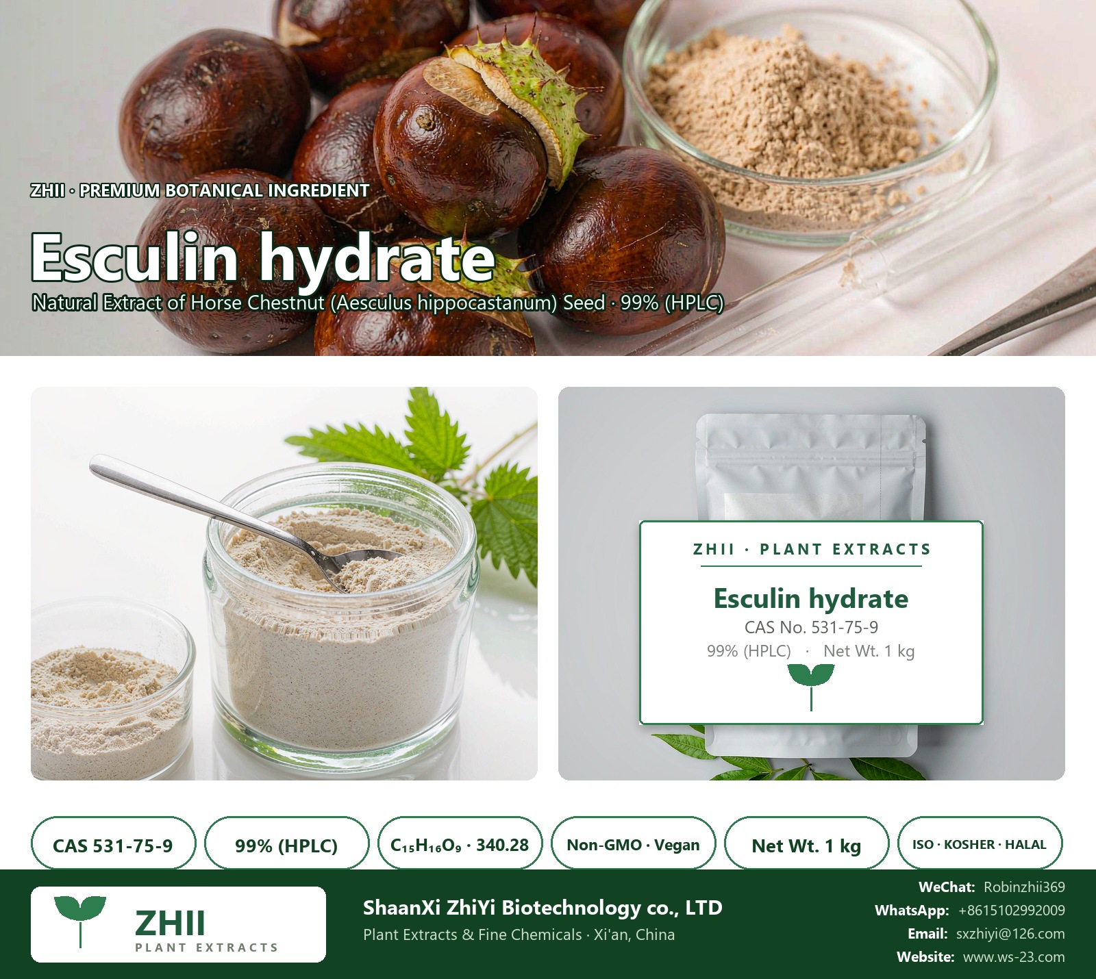 Esculin hydrate CAS 531-75-9 natural plant extract from Horse Chestnut - ZHII ShaanXi ZhiYi Biotechnology supplier