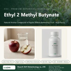 Ethyl 2 Methyl Butynate liquid extract in laboratory beaker - ZHII Plant Extracts by ShaanXi ZhiYi Biotechnology