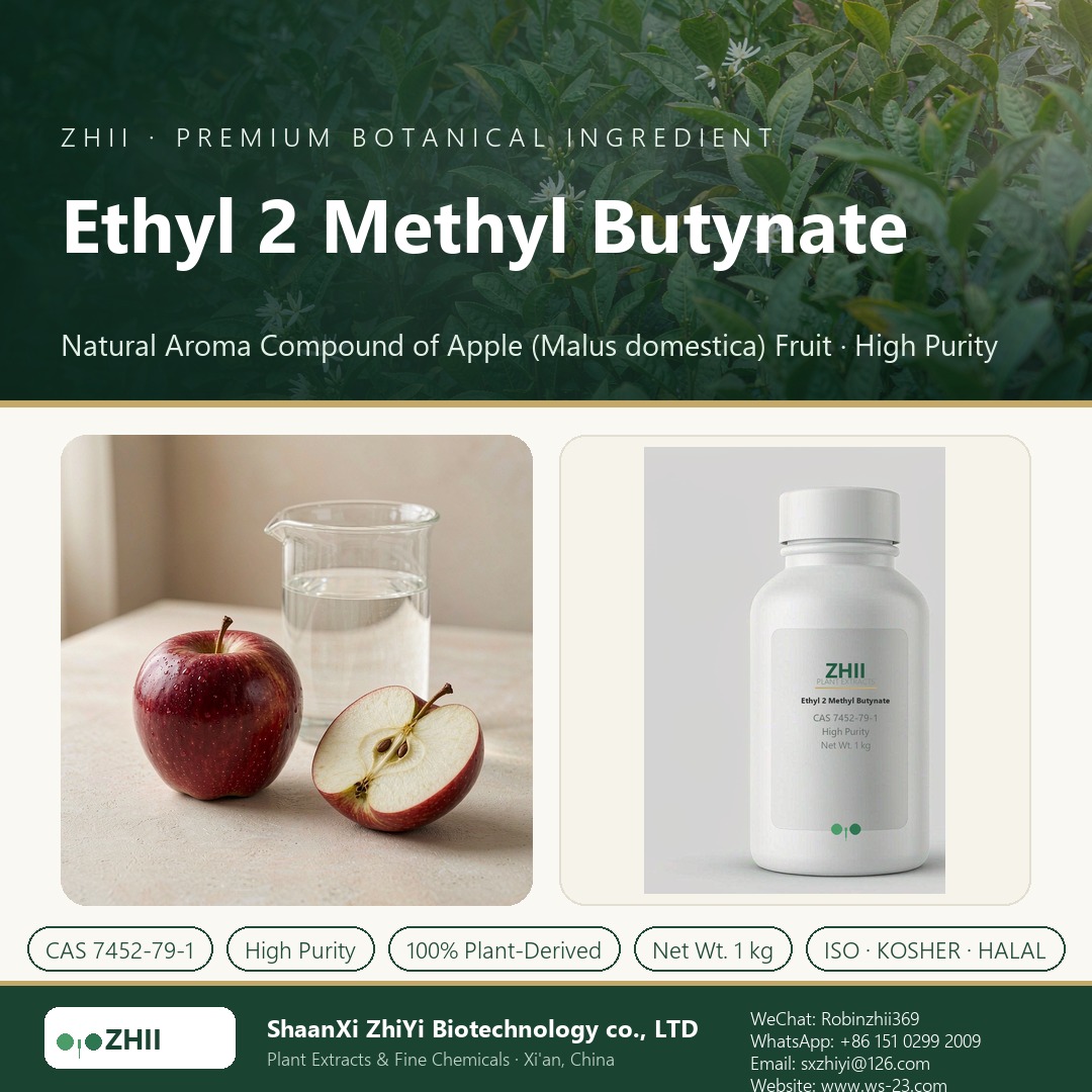 Ethyl 2 Methyl Butynate liquid extract in laboratory beaker - ZHII Plant Extracts by ShaanXi ZhiYi Biotechnology