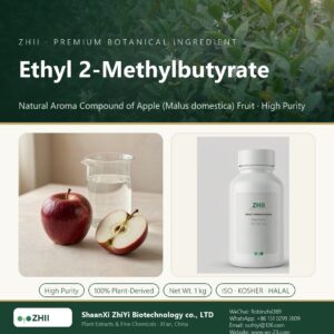 Ethyl 2-Methylbutyrate liquid extract in laboratory beaker - ZHII Plant Extracts by ShaanXi ZhiYi Biotechnology