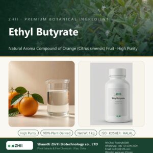 Ethyl Butyrate liquid extract in laboratory beaker - ZHII Plant Extracts by ShaanXi ZhiYi Biotechnology