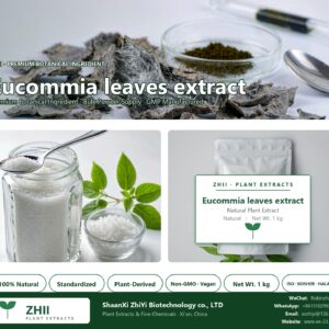 Eucommia leaves extract natural botanical extract powder - ZHII ShaanXi ZhiYi Biotechnology supplier