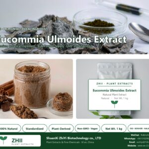 Eucommia Ulmoides Extract natural botanical extract powder - ZHII ShaanXi ZhiYi Biotechnology supplier