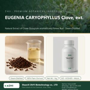 EUGENIA CARYOPHYLLUS Clove, ext. liquid extract in laboratory beaker - ZHII Plant Extracts by ShaanXi ZhiYi Biotechnology