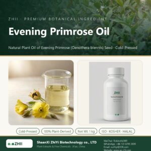 Evening Primrose Oil liquid extract in laboratory beaker - ZHII Plant Extracts by ShaanXi ZhiYi Biotechnology
