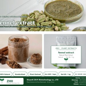 fennel extract natural Fennel extract powder - ZHII ShaanXi ZhiYi Biotechnology supplier