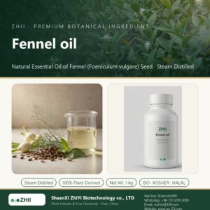 Fennel oil liquid extract in laboratory beaker - ZHII Plant Extracts by ShaanXi ZhiYi Biotechnology