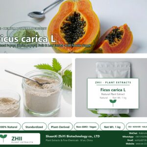 Ficus carica L. natural Papaya extract powder - ZHII ShaanXi ZhiYi Biotechnology supplier