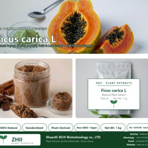 Ficus carica L. natural Papaya extract powder - ZHII ShaanXi ZhiYi Biotechnology supplier