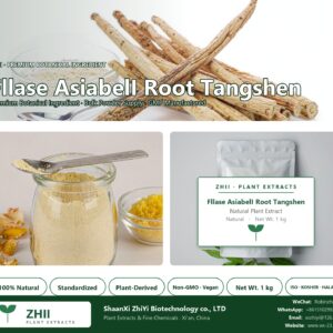Fllase AsiabelI Root Tangshen natural botanical extract powder - ZHII ShaanXi ZhiYi Biotechnology supplier